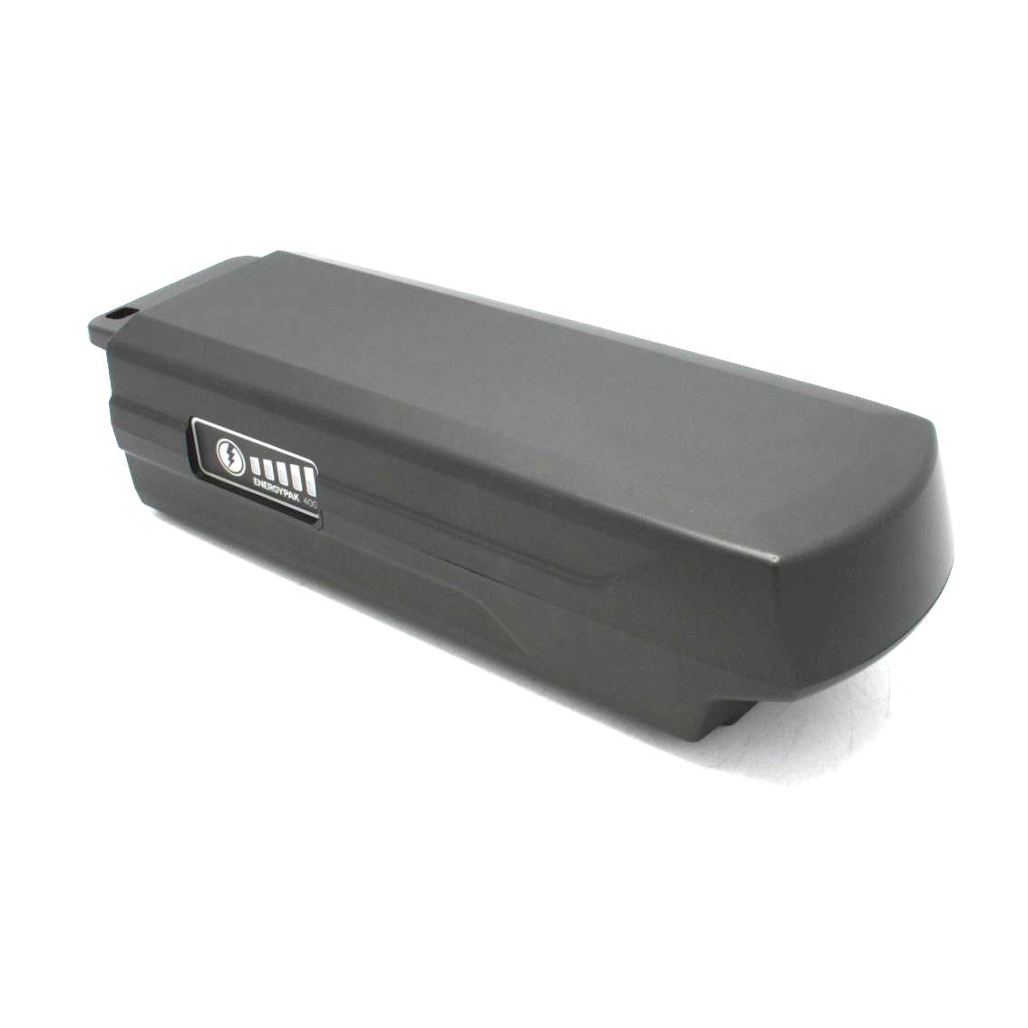Giant Energypak CANbus 36V